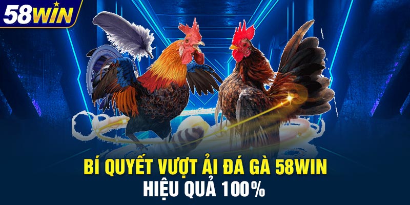 Bí quyết vượt ải đá gà 58WIN hiệu quả 100%