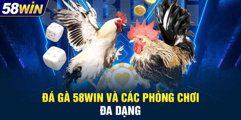 Đá gà 58WIN và các phòng chơi đa dạng