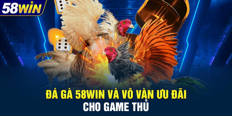 Đá gà 58WIN và vô vàn ưu đãi cho game thủ