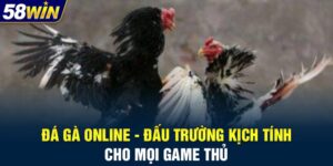 Đá Gà Online - Đấu Trường Kịch Tính Cho Mọi Game Thủ
