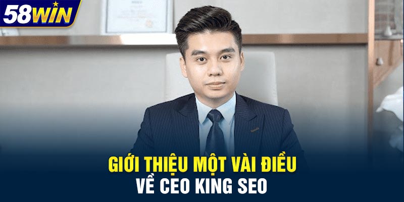 Giới thiệu một vài điều về CEO King SEO