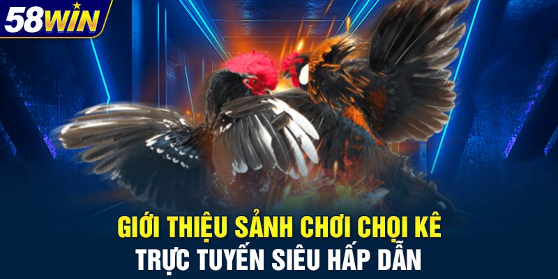 Giới thiệu sảnh chơi chọi kê trực tuyến siêu hấp dẫn
