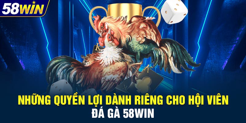 Những quyền lợi dành riêng cho hội viên đá gà 58WIN