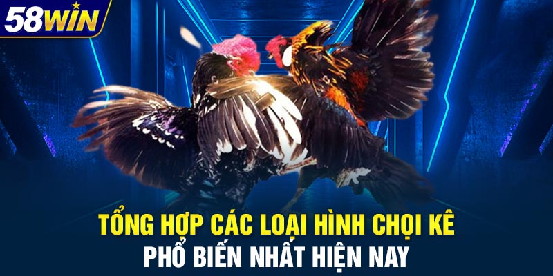 Tổng hợp các loại hình chọi kê phổ biến nhất hiện nay