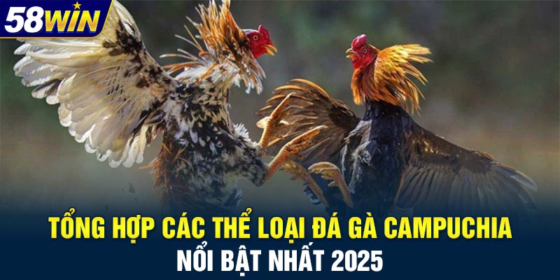 Tổng hợp các thể loại đá gà Campuchia nổi bật nhất 2025